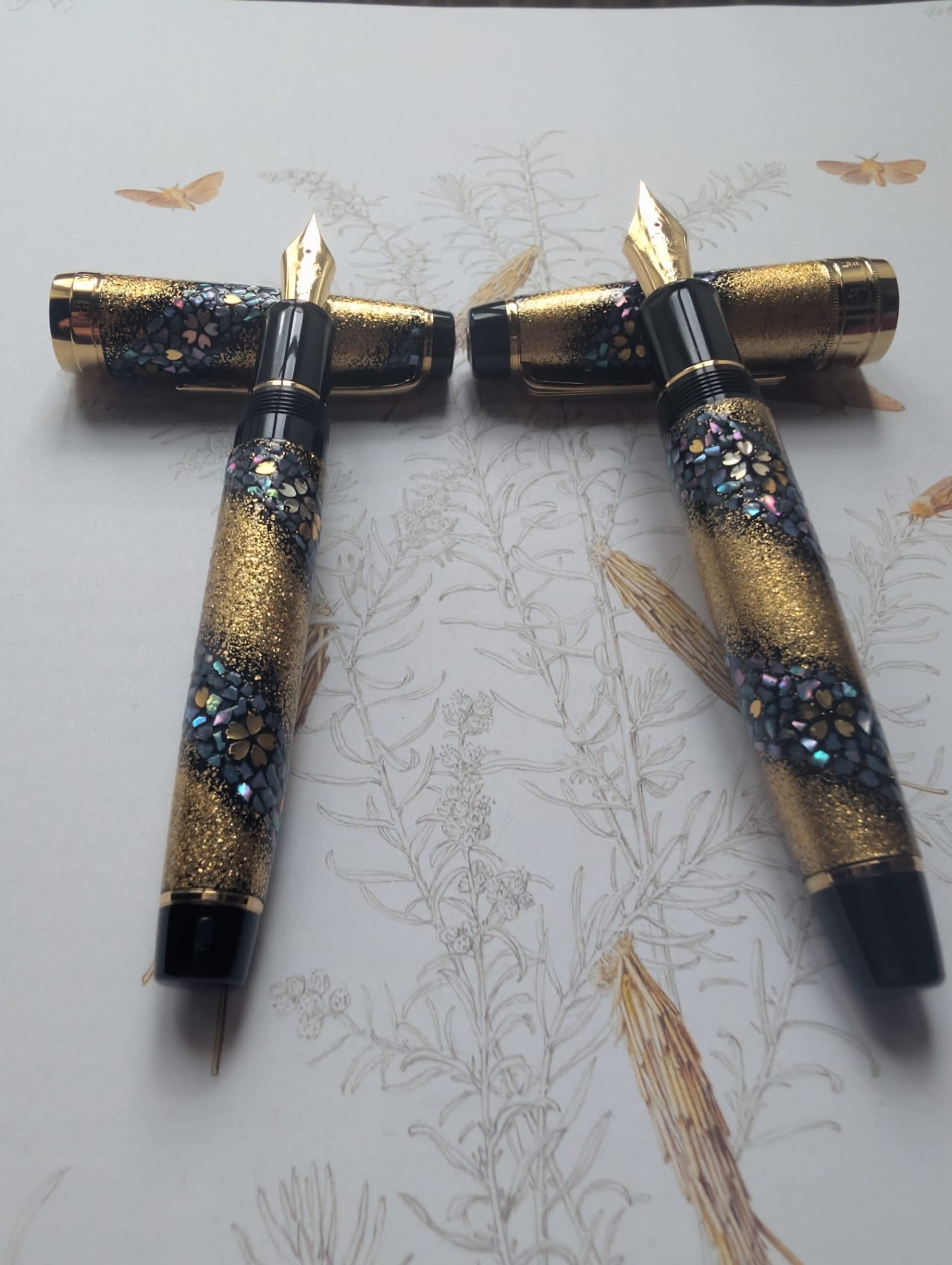 Sailor KOP + progear Sakura nagare prime minister