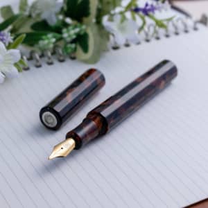 Wancher Kaleidao Autumn Groves Akikodachi Jowo #6 Broad Nib Fountain Pen Japan 1
