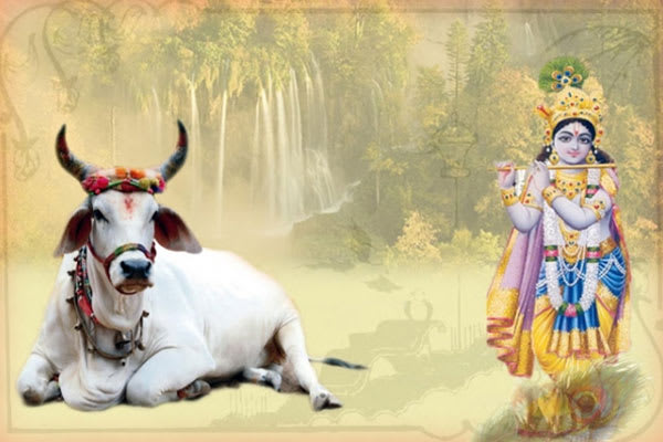 गौ माता की महत्ता