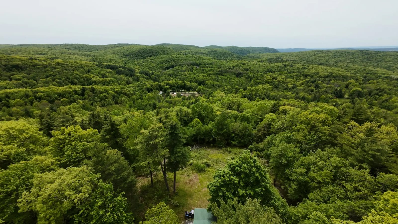 Aerial view of the wooded OTP Ranch landscape in Johnsonville, New York
