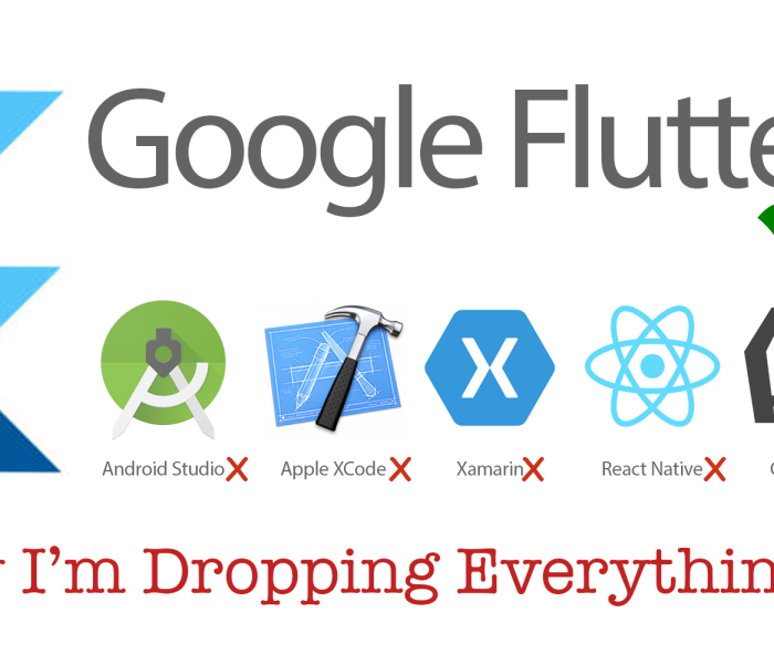 Flutter - Pixel by Pixel – Thomas Gazzoni | Developer, Mobile