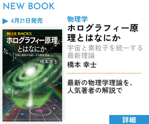 ホログラフィー原理とはなにか