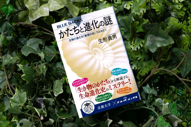 写真】生き物にはなぜ無数のかたちがあるのか…「進化のナゾ」を追う