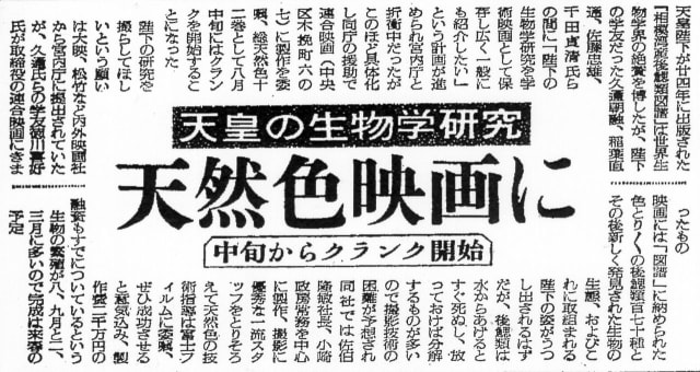 昭和天皇 観閲式 横91cm×縦51cm 昭和天皇 観閲式 横91cm×縦51cm