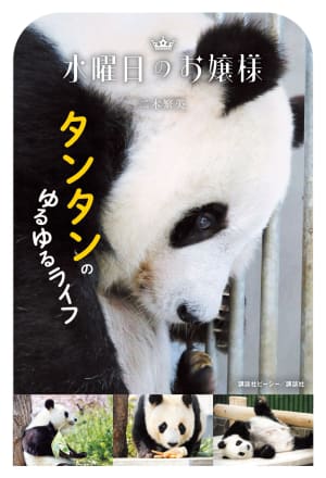 入手困難　絶版　ぱんだ　王子動物園　タンタン写真集 入手困難 絶版 ぱんだ 王子動物園 タンタン写真集 絶版 入手困難