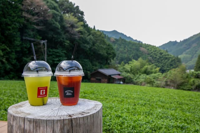 写真】「このままではお茶業界が沈んでしまう」静岡発「苦くない紅茶