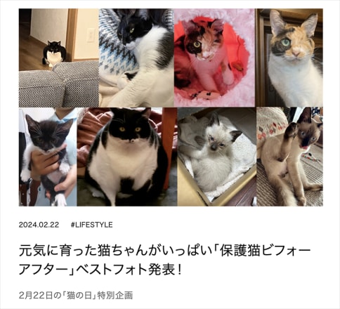修正作品　プカプカ猫 不服前進猫 [4.三毛],エイチエムエー ガチャガチャ カプセルトイ 通販