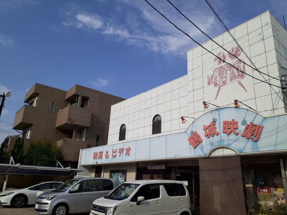 写真】令和に「成人向けVHSビデオテープ」を見る男たち…愛知県の住宅街