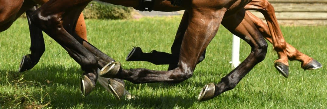 熱くなりすぎて1億円も値が上がることも…矢作調教師が明かす「魔物が