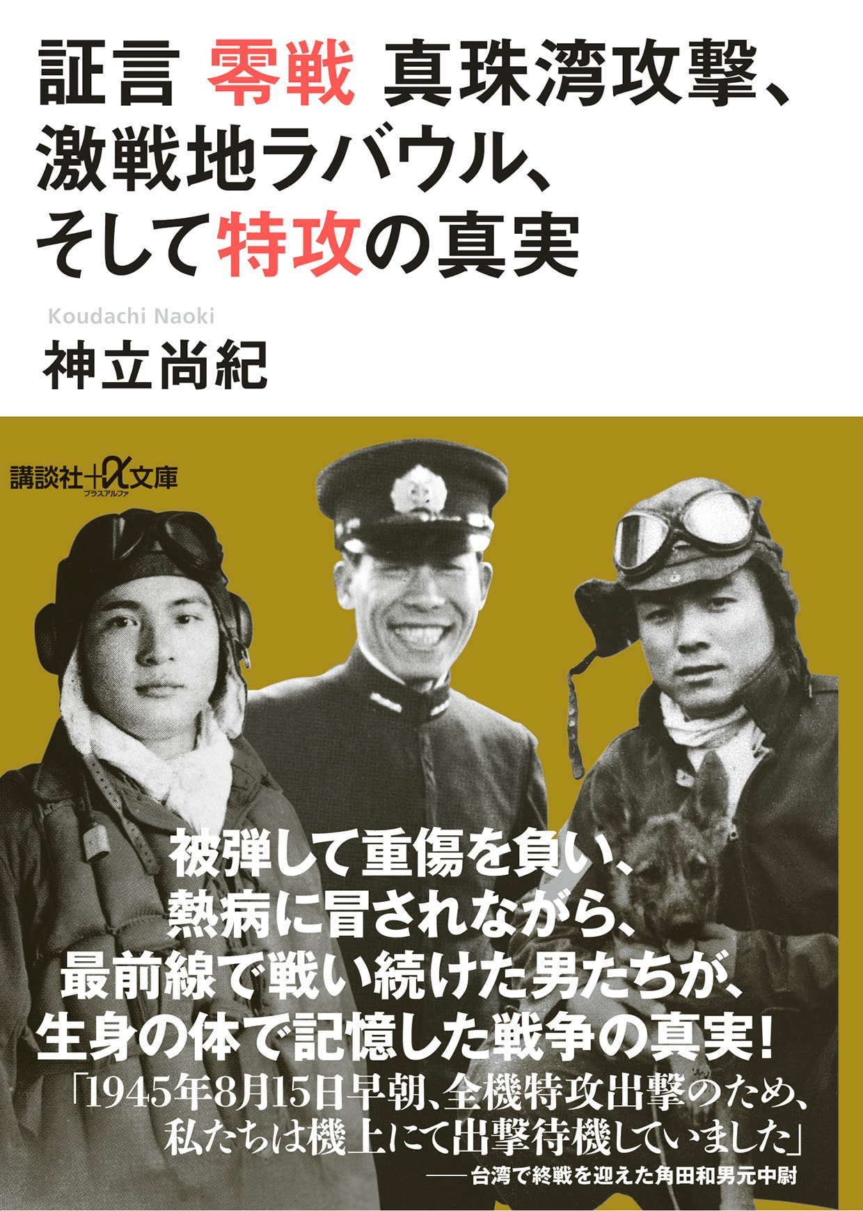 蛮勇か？敵地に着陸して焼き討ち…日本海軍一の名物男「波瀾の人生」（神立 尚紀） | 現代ビジネス | 講談社