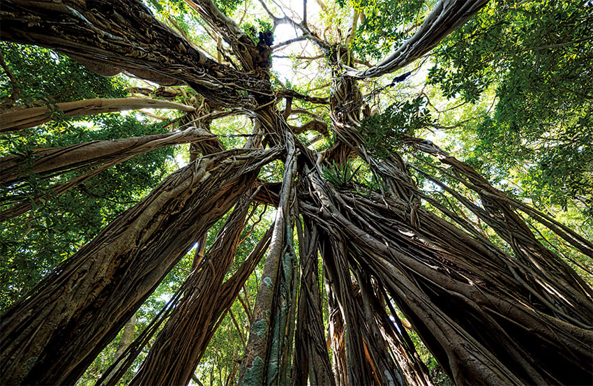 dbpd2vaaju9c3g3uxxb2b3bz