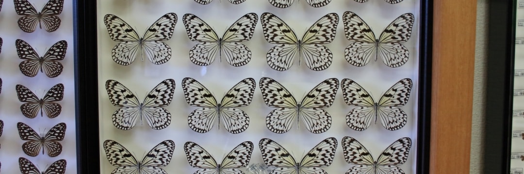 dky3b5divy0q3gurqvrs9xxq