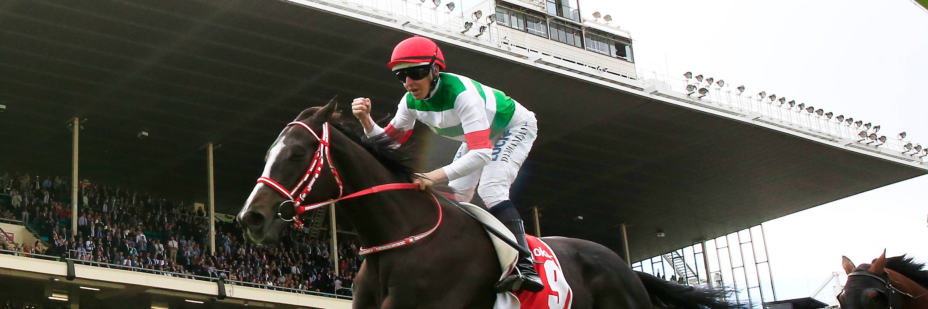 宝塚記念には最強牝馬がよく似合う》2019年、覚醒したリスグラシュー