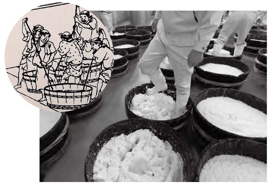 【写真】山卸の作業