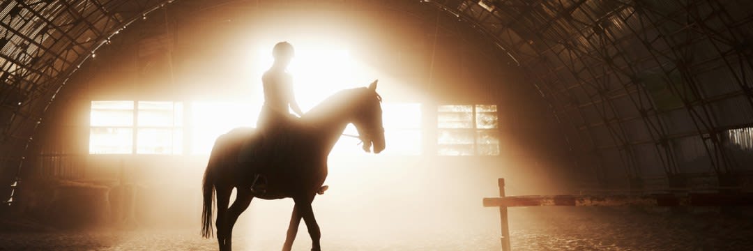 悲劇の名馬「ライスシャワー」…悪役の汚名をかぶり、淀に散った「伝説