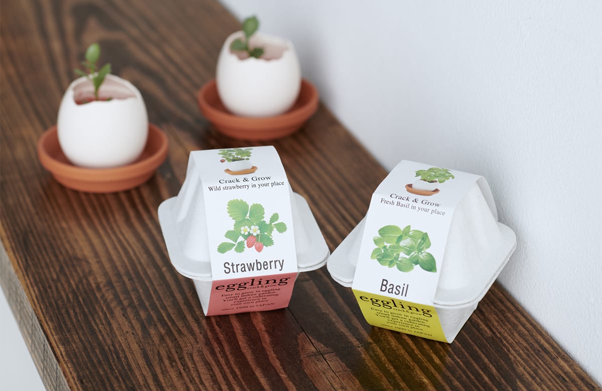 たまごの中から植物が育つ！ ユニークで可愛く、エコフレンドリーな