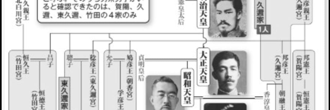 愛子さまのご結婚も視野に「常陸宮家の養子」になる案が浮上の「旧宮家の男性たち」…皇族入りに意欲を見せるものも（週刊現代） - 2ページ目 ...