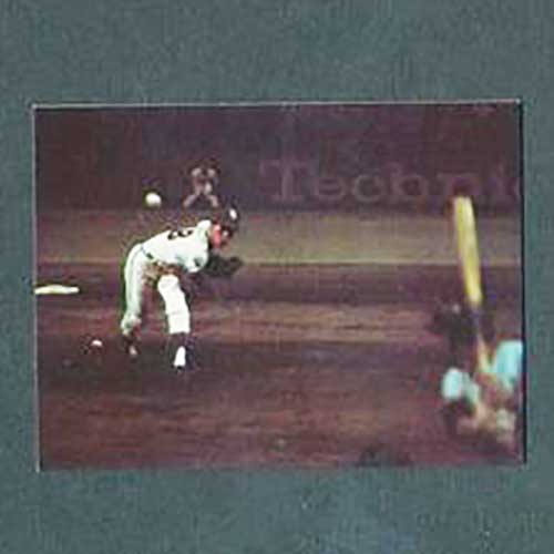 1973年 カルビー プロ野球カード 稲葉 カルビー プロ野球カード 73年