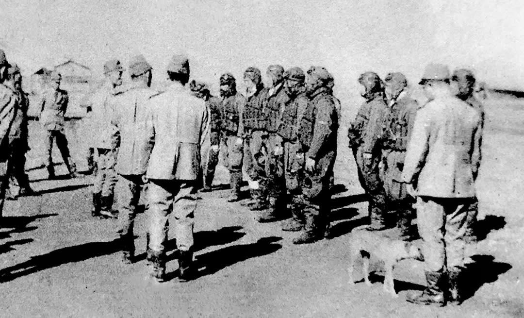 特攻基地でも飼われていた…！最前線で戦う若者たちが愛した犬たち（神立 尚紀） | 現代ビジネス | 講談社