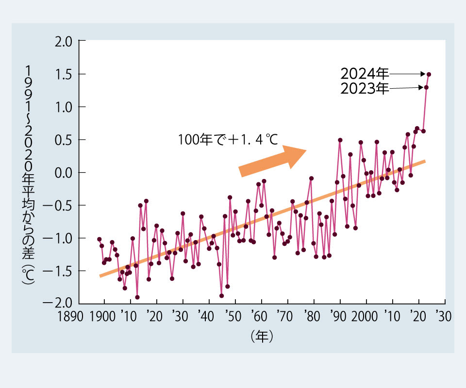【図（グラフ）】日本の年平均気温偏差の推移（気象庁のデータを元に作成）