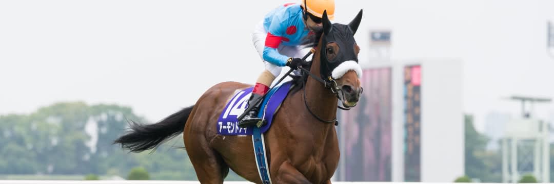 アーモンドアイら三強が激突！「奇跡のレース」ジャパンCが日本競馬の