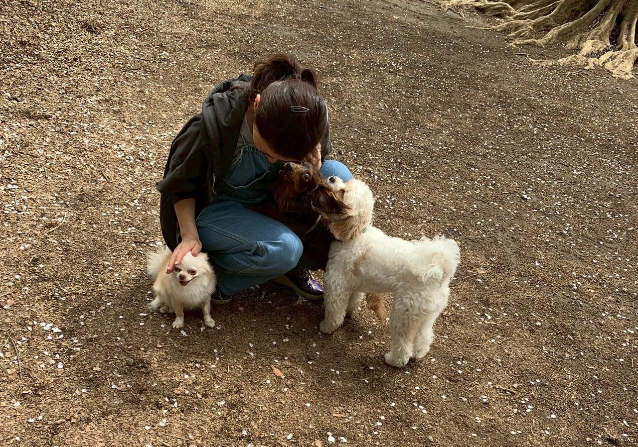 缶で脅かし、首吊りにし…「人を咬む犬」に怯えた飼い主がトレーナーから教わった「しつけ」の恐怖（坂上 知枝,ヒナタ） - 3ページ目 | FRaU