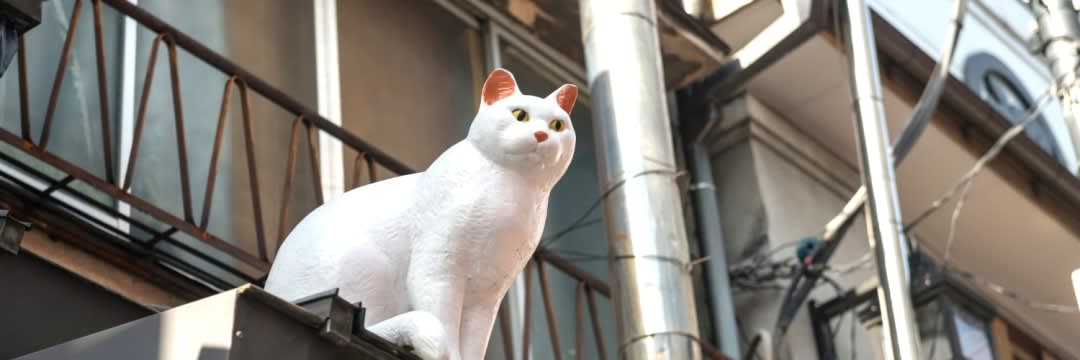 猫推しの街」に異変が…！東京・谷中の「夕やけだんだん」から猫が消え