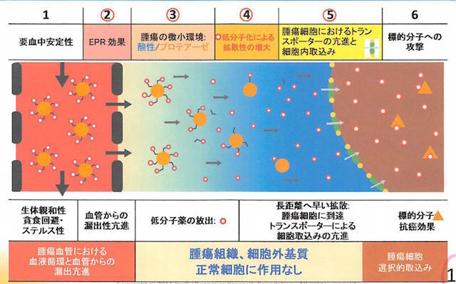 全身転移のがんが消えた…常識破り「副作用のない抗がん剤」誕生秘話（奥野 修司） | 現代ビジネス | 講談社
