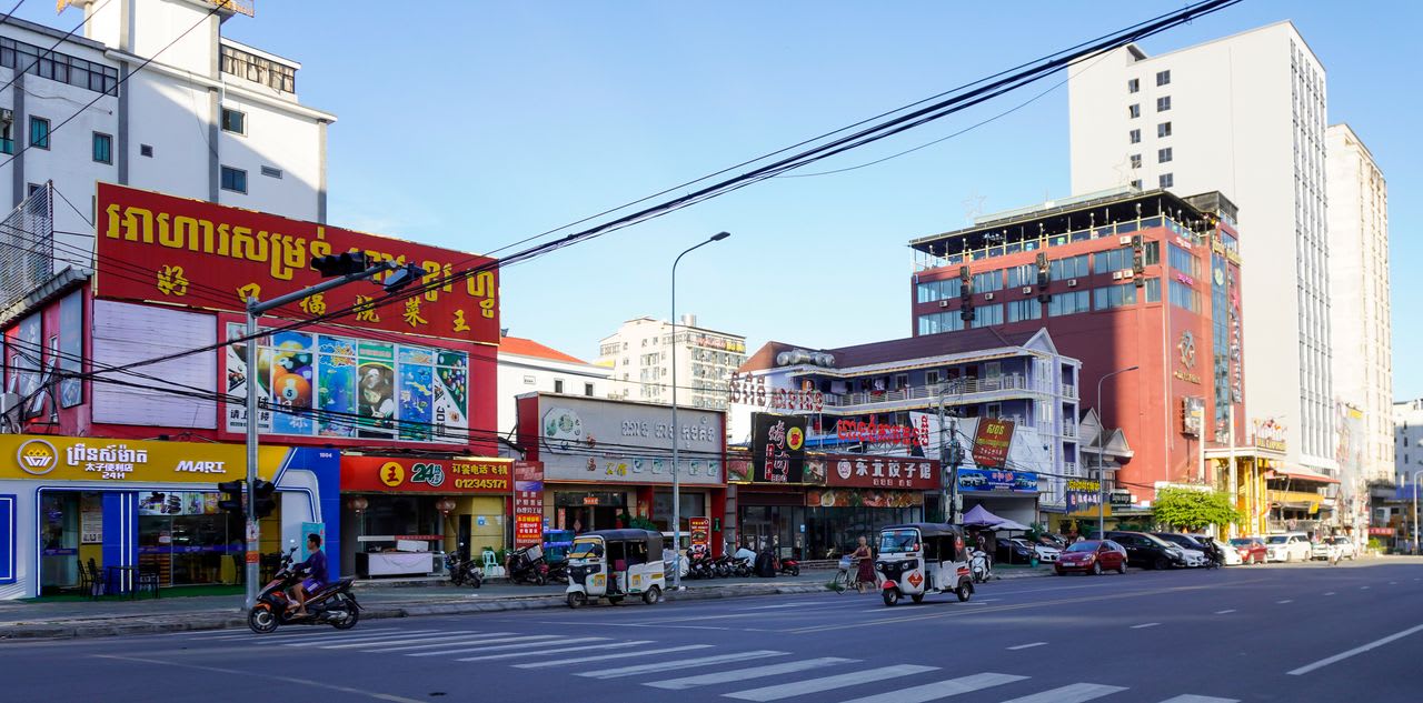 日本人が人身売買で高く売れる理由…犯罪組織「チャイニーズドラゴン」と慈善団体「ブルードラゴン」の「行動原理」（廣末 登） - 3ページ目 |  マネー現代 | 講談社