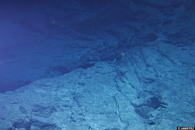 【写真】南西インド洋海嶺のあたりの深海底の様子