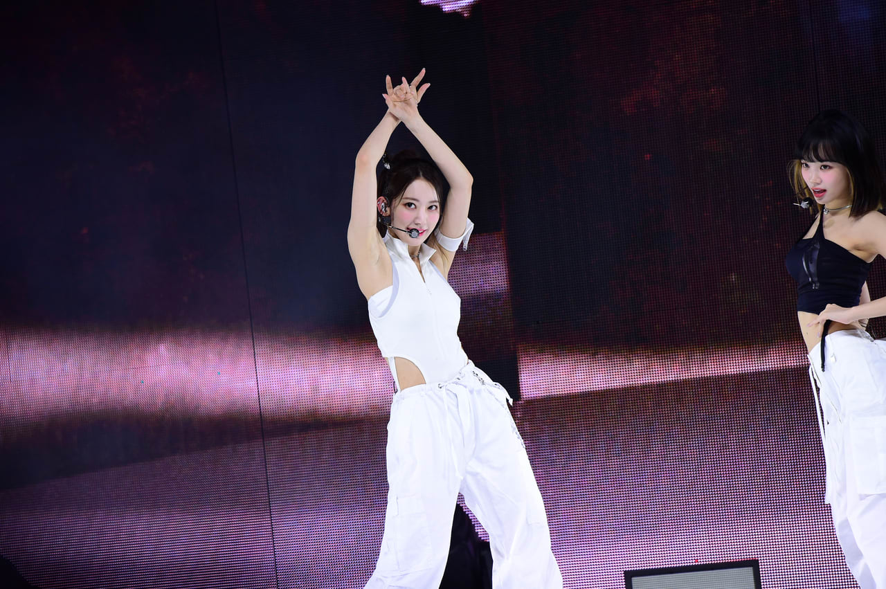 ルセラフィム 宮脇咲良着用 Needles モヘアニットカーディガン パピオン ルセラフィム 宮脇咲良着用 Needles モヘアニットカーディガン パピオン