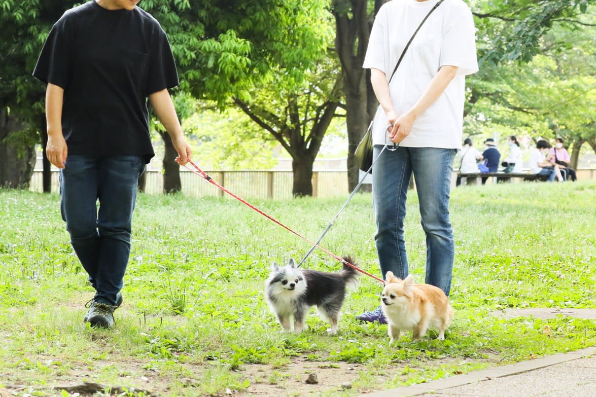 生物の行動を決める脳科学