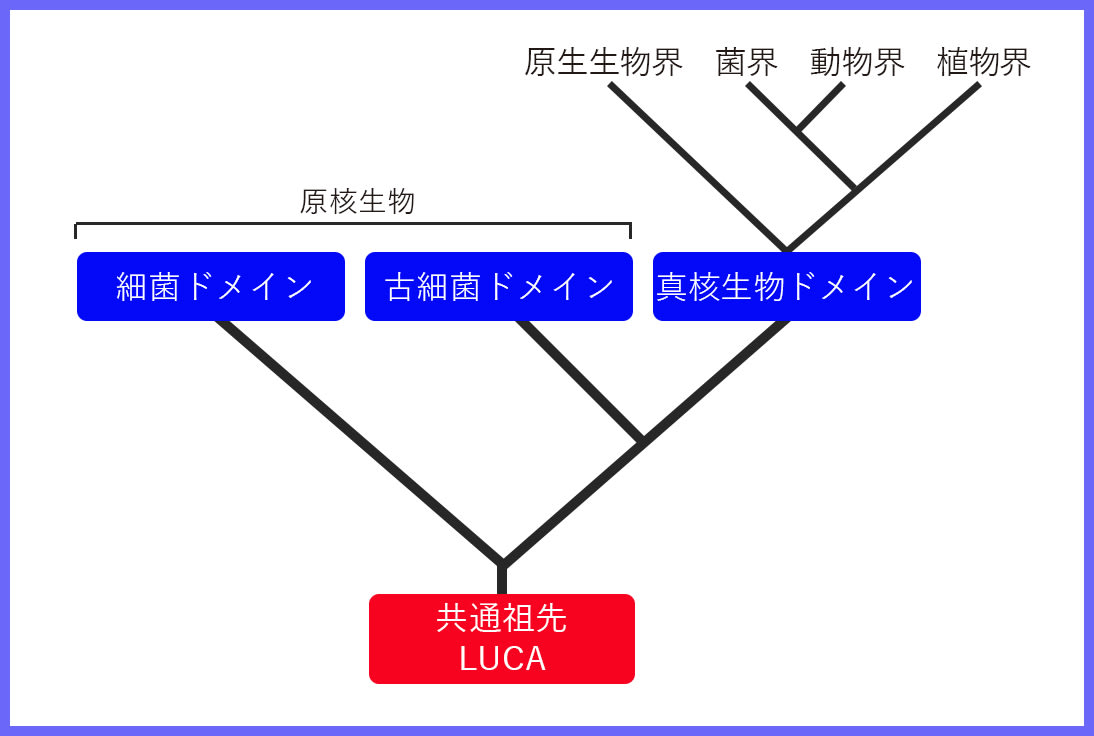 細胞の共生進化 : 始生代と原生代における微生物群衆の世界 上 細胞の共生進化 上 第2版: 始生代と原生代における微生物群集の
