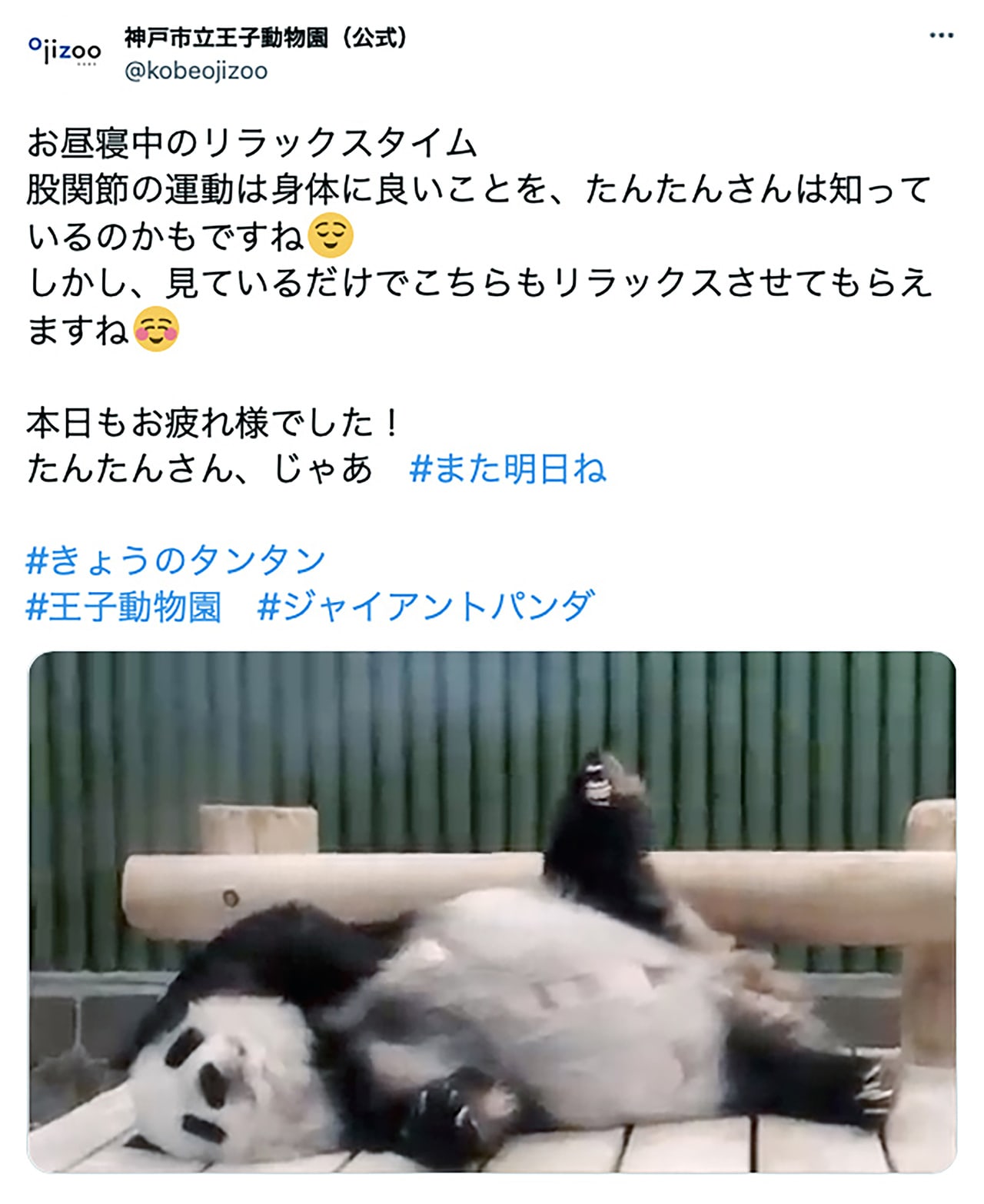 こんなに上がるの…！？動物園のパンダのエクササイズにファンが大注目