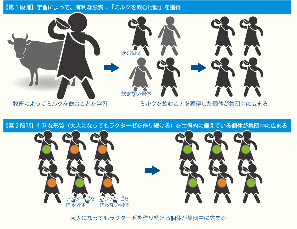 【図】生物淘汰の2段階