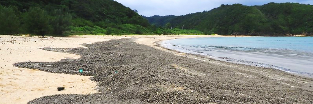 戦後最大級！沖縄・奄美に大量の軽石をもたらした「大噴火」の正体