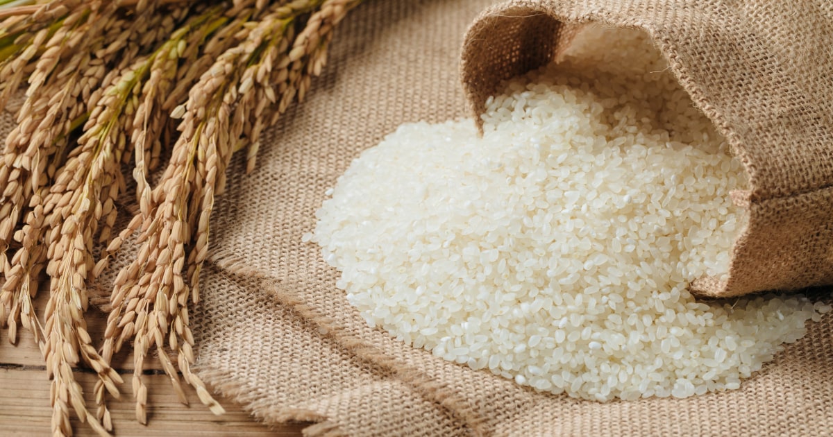 【コメ高騰】切り札《備蓄米放出》が決定したが…「転売ヤー」も続々参入『マネーゲーム化』を防げなかった「政府の失策」