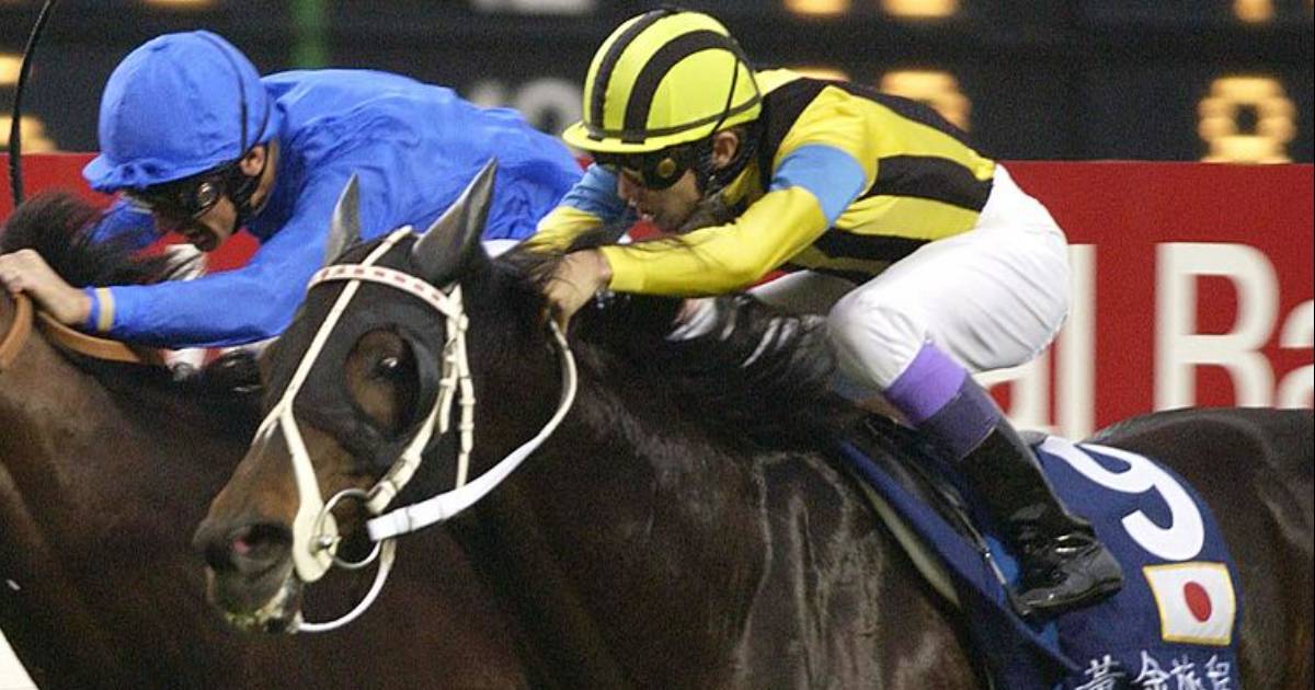 hz4vqnepdg8smyhzwz9isj4u