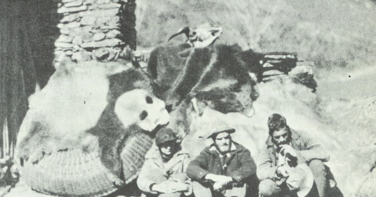 パンダがあんなに可愛いのは、20世紀の特殊現象？ 中国人も気づいて