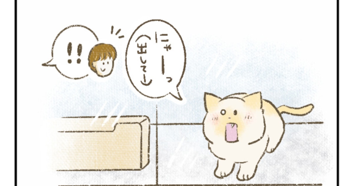 顔を半分失った猫の希望と回復物語