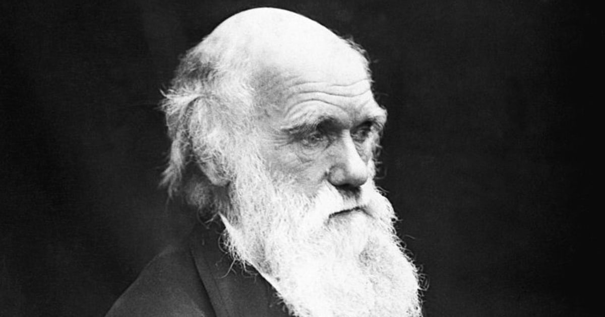 意外と知らないダーウィンが言った「進化」の本当の意味…「進化」という語を最初に使ったのはダーウィンではなかった「驚きの事実」