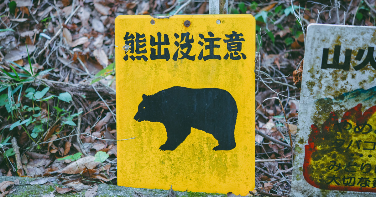 牛55頭襲撃の怪物」「快楽犯」とも謳われたヒグマ・OSO18。一頭の