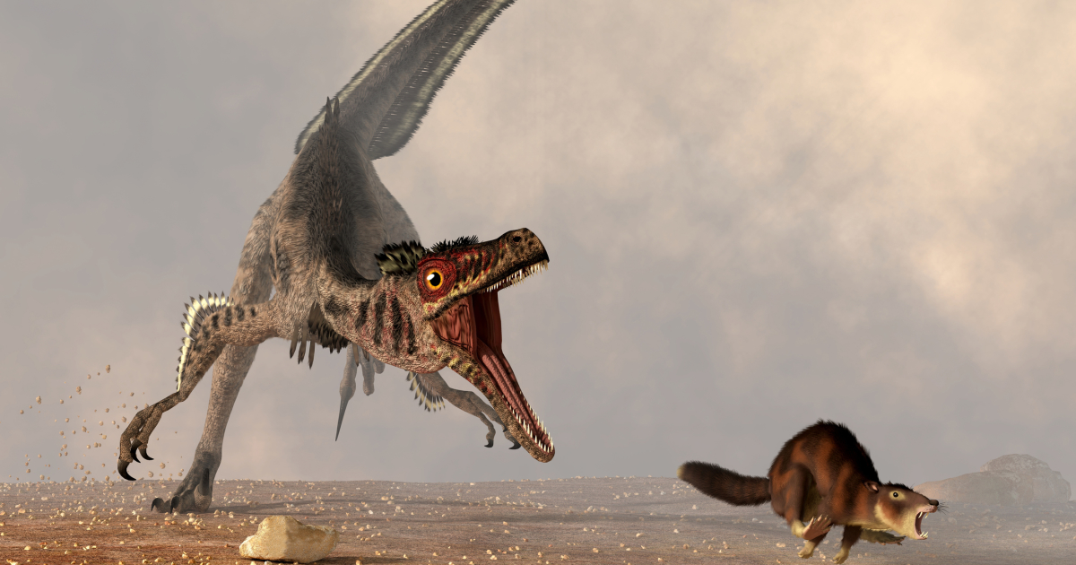 進化の傑作。じつは、今もって哺乳類は「恐竜に敵わない」…鳥類とコウモリの比較から明らかになった、驚きの真実