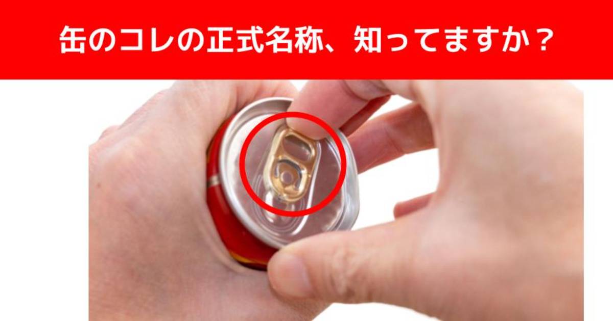 【難解正式名称クイズ】あなたは知っていますか？『缶ジュースの飲み口を開ける金具』の名前（現代ビジネス編集部） | 現代ビジネス | 講談社