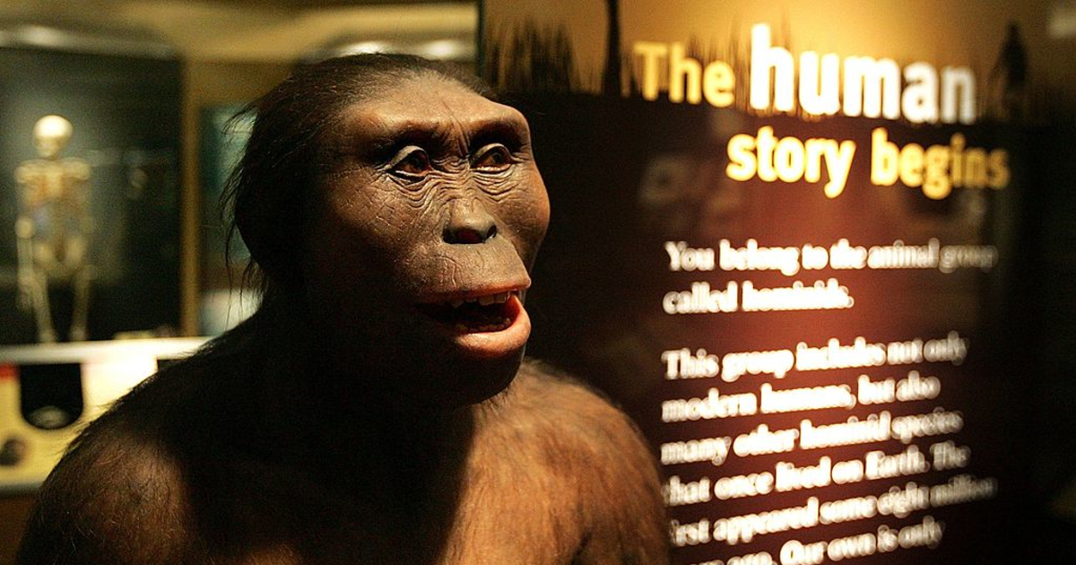 連れ立つように歩く2人の後を、3人目が続いていた…ラエトリの足跡化石