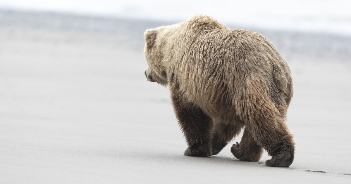 ttixf2oo5bjv9zu4khb49t1d