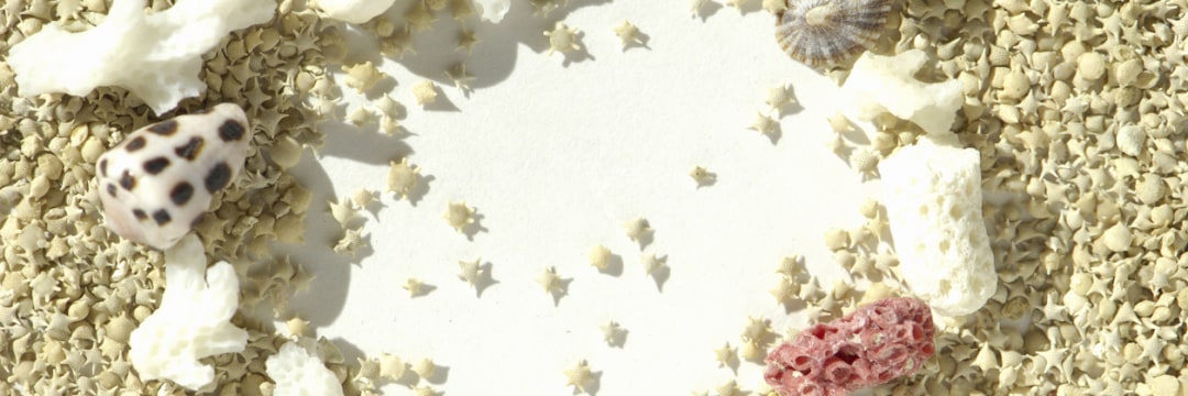 沖縄、ハワイの「キレイ」な砂浜は「人工」的なもの…意外と知られてい