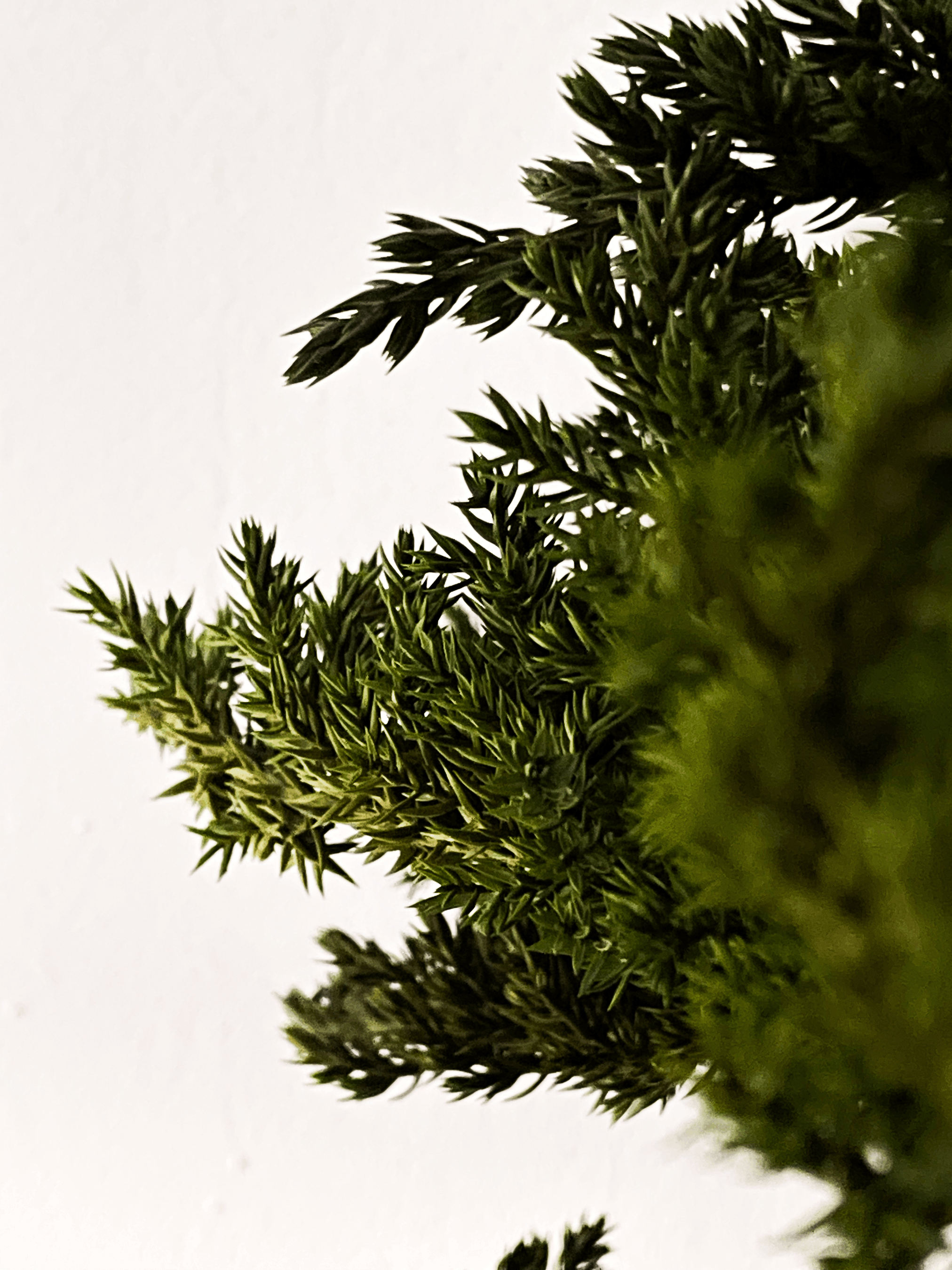 ACT 01 — view 3