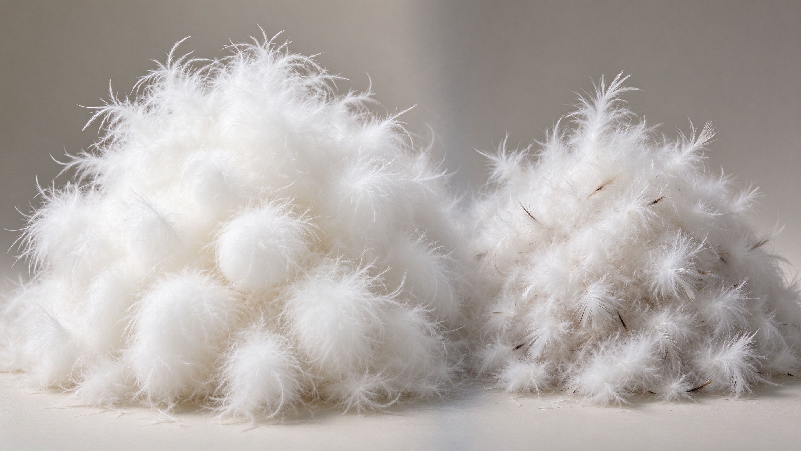 Goose Down vs Duck Down: Which Keeps You Warmer?