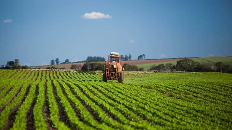 Embrapa divulga orientações para produtores rurais enfrentarem impactos do El Niño